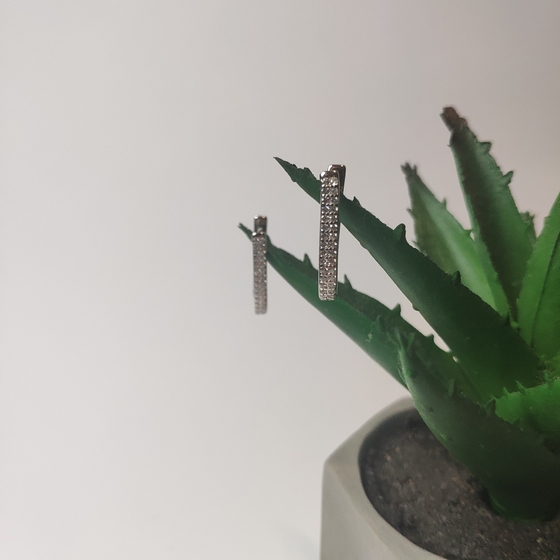 Silver Earrings with Fianites