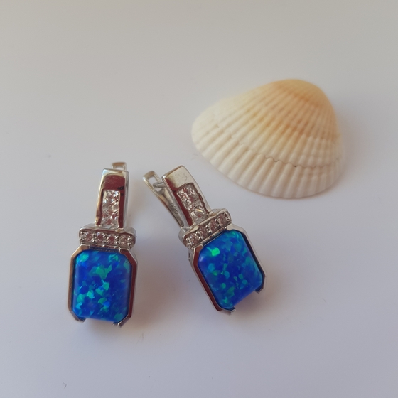 Silver earrings with opal