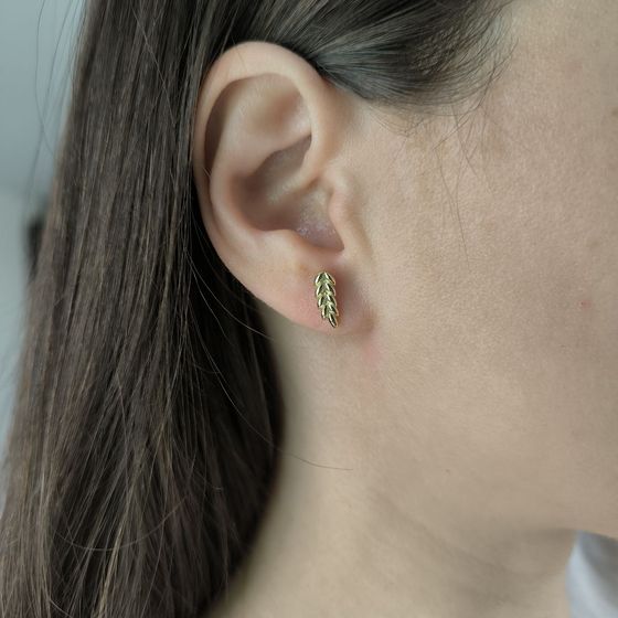 Silver earrings without stones