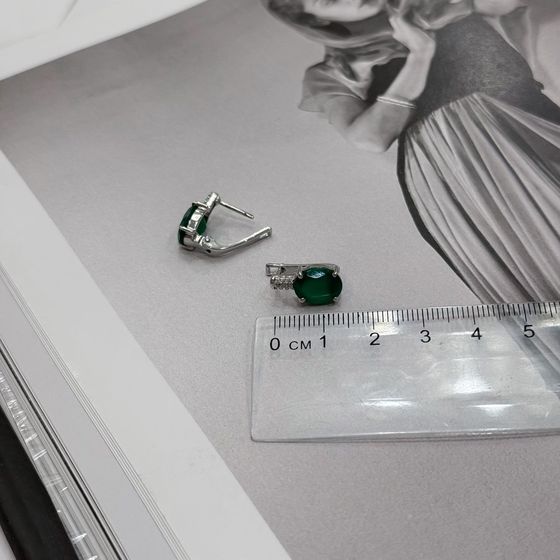 Silver Earrings with Agate (4.906 ct)