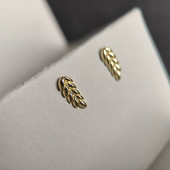 Silver earrings without stones