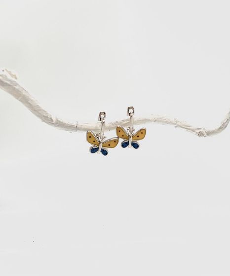 Silver earrings with yemallu