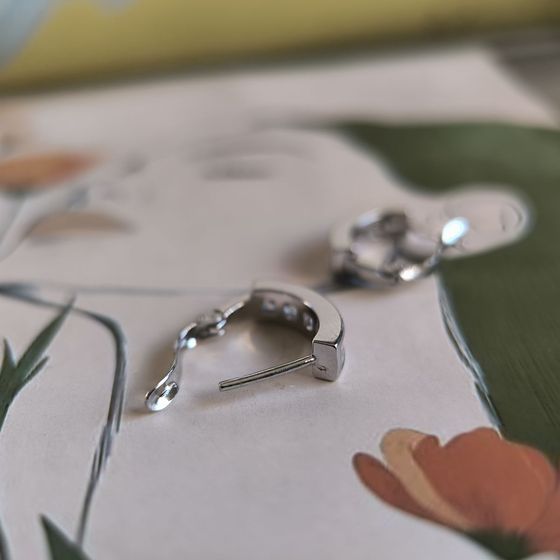 Silver Earrings with Fianites