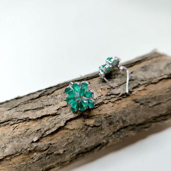 Silver earrings with agate (7.806 carats)