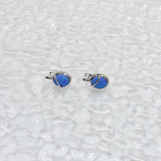 Срібні сережки з опалом 2.06ct