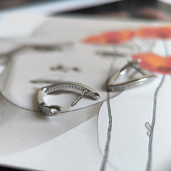 Silver Earrings with Fianites
