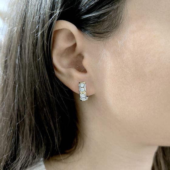 Silver Earrings with Fianites