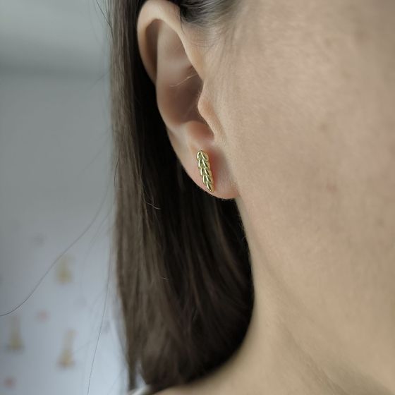 Silver earrings without stones
