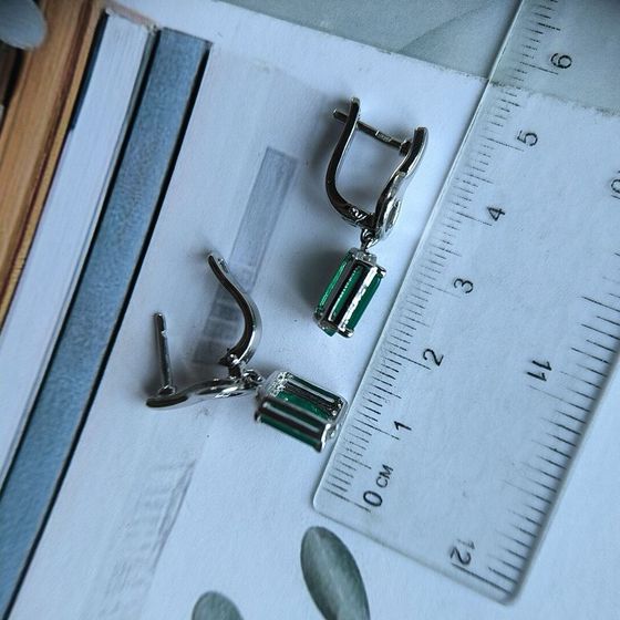 Silver earrings with agate 3.688ct