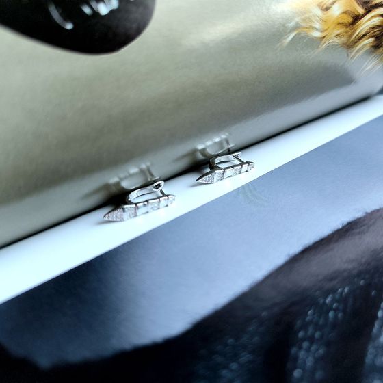 Silver Earrings with Fianites