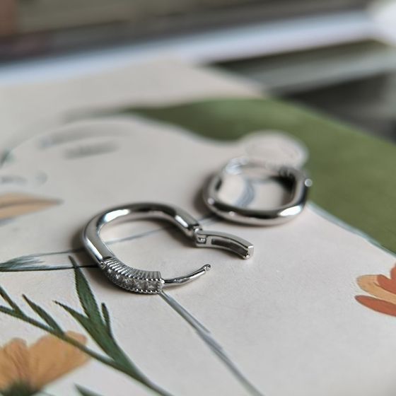 Silver Earrings with Fianites