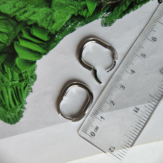 Silver Earrings with Fianites