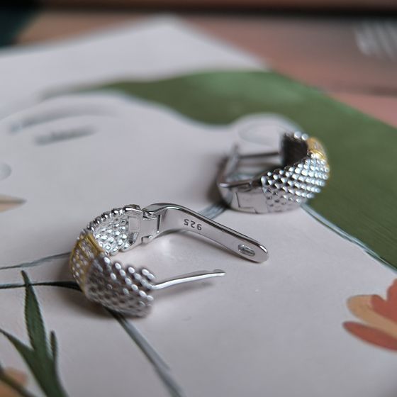 Silver Earrings with Fianites