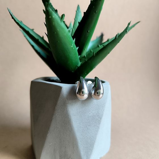 Silver earrings without stones
