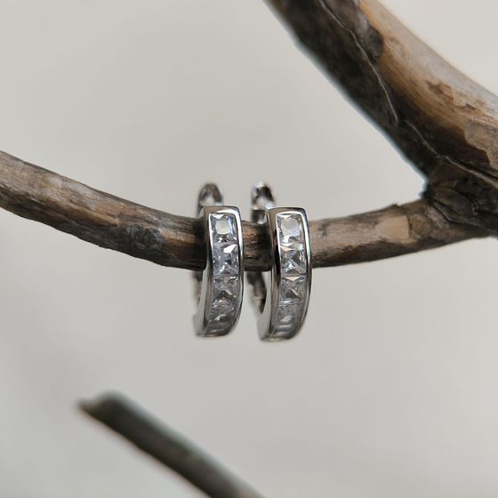 Silver Earrings with Fianites