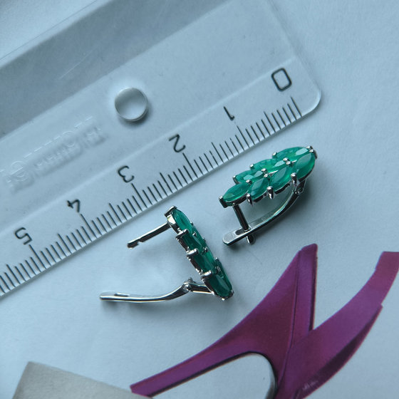 Silver Earrings with Agate (2.495 ct)