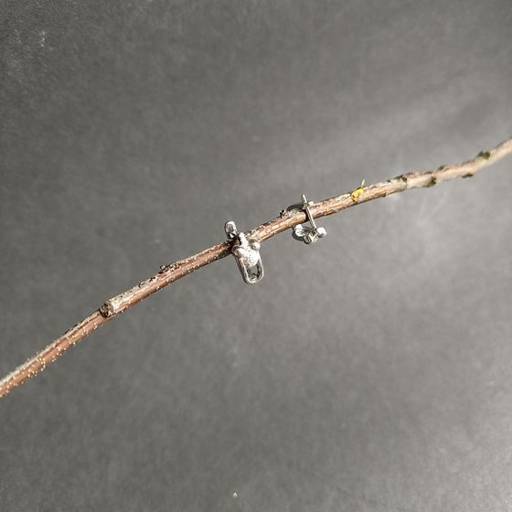 Silver Earrings with Fianites