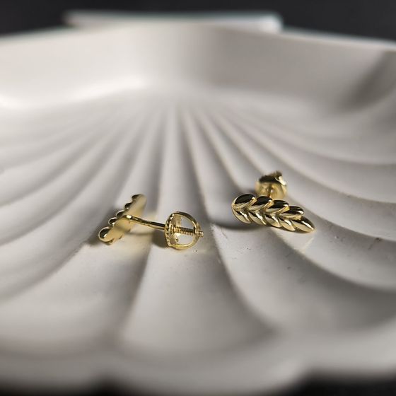 Silver earrings without stones
