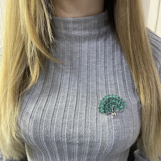 Silver cat's eye brooch