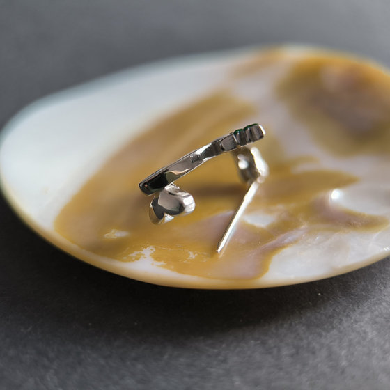Silver brooch with enamel